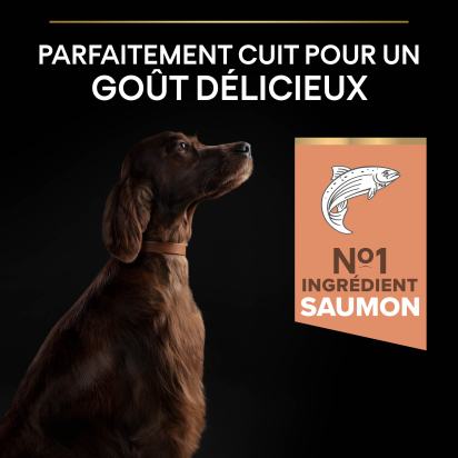 PRO PLAN Chien Large Adult Athletic Sensitive Skin Saumon 14KG
