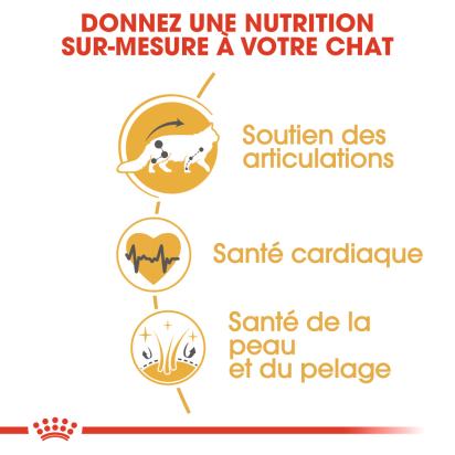 ROYAL CANIN MAINE COON ADULT CHAT A PARTIR DE 15 MOIS 10KG