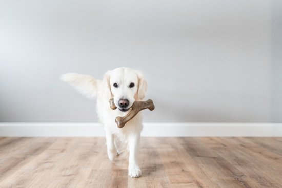 JOUET À MÂCHER WISHBONE SAVEUR POULET - TAILLE L