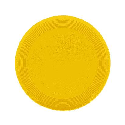 Frisbee flottant