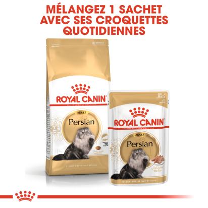 ROYAL CANIN PERSIAN ADULT PERSAN A PARTIR DE 12 MOIS 4KG