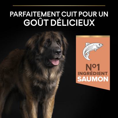PRO PLAN Chien Large Adult Robust Sensitive Skin Saumon 14KG