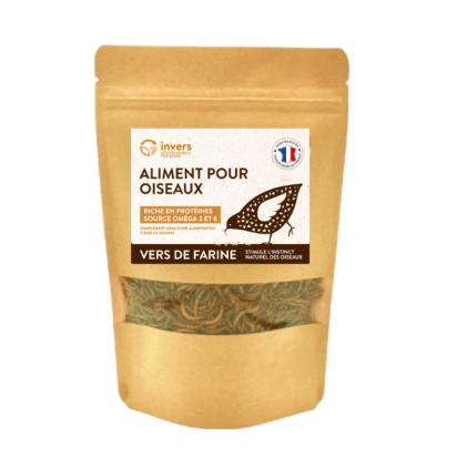 VERS DE FARINE DESHYDRATES 100G