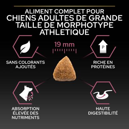 PRO PLAN Chien Large Adult Athletic Sensitive Skin Saumon 14KG