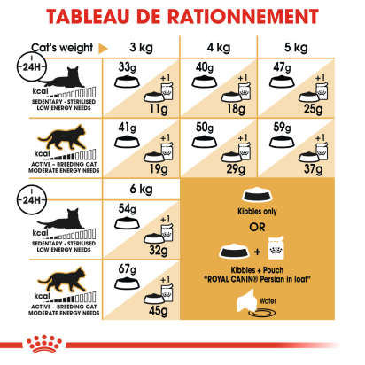 ROYAL CANIN PERSIAN ADULT PERSAN A PARTIR DE 12 MOIS 4KG