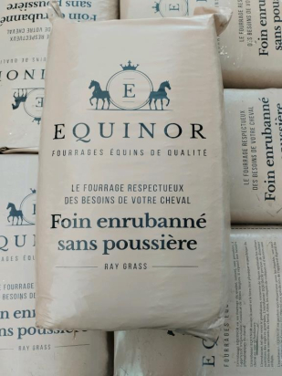 Foin enrubanné Equinor prairie naturel 18,5 kg