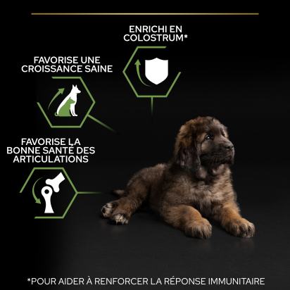 PRO PLAN Chien Large Robust Puppy Healthy Start Poulet 12KG