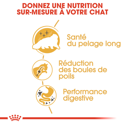 ROYAL CANIN PERSIAN ADULT PERSAN A PARTIR DE 12 MOIS 4KG
