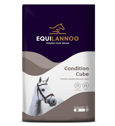 EQUILANNOO CONDITION CUBE - 20KG