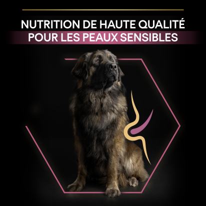 PRO PLAN Chien Large Adult Robust Sensitive Skin Saumon 14KG
