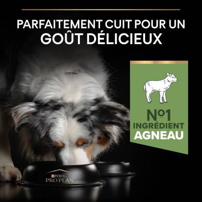 PRO PLAN Chien Medium Adult Sensitive Digestion Agneau 14KG
