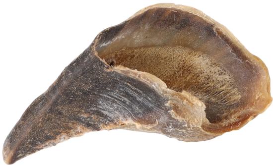 Friandises Nature Sabot de vache- Unité
