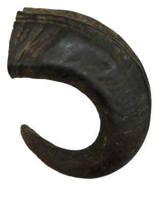 Corne de buffle L 320g Bubimex