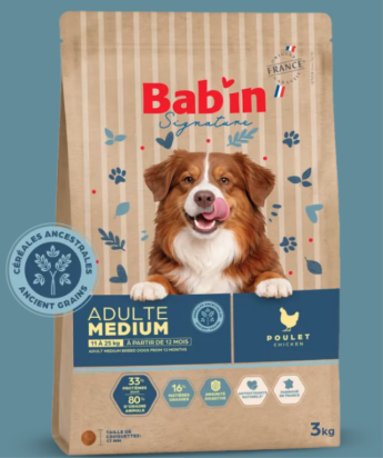 BAB’IN SIGNATURE ADULTE MEDIUM CÉRÉALES ANCESTRALES 12KG