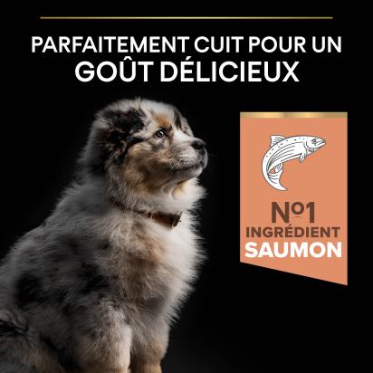 PRO PLAN Chien Medium Puppy Sensitive Skin Saumon 12KG