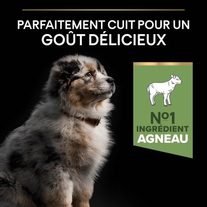 PRO PLAN Chien Medium Puppy Sensitive Digestion Agneau 3KG