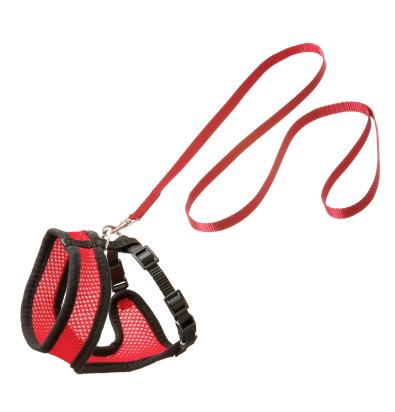 Harnais avec laisse Chaton Harms Rouge & Noir