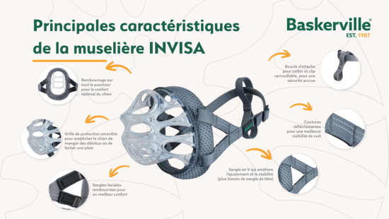 MUSELIERE BASKERVILLE INVISA T3
