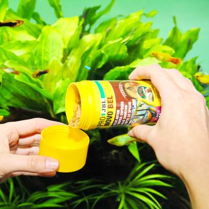 JBL PRONOVO  BEL FLAKES M 250ml - Flocons pour poissons tropicaux