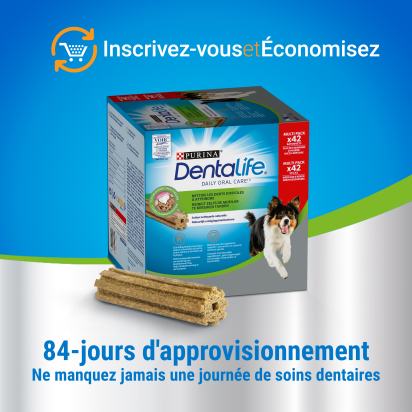 DENTALIFE Medium MultiPack 42 Friandises