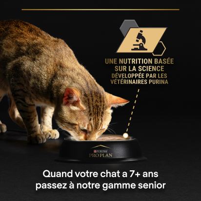PRO PLAN Chat ADULT MAINTENANCE - Terrine riche en Poulet - 85g