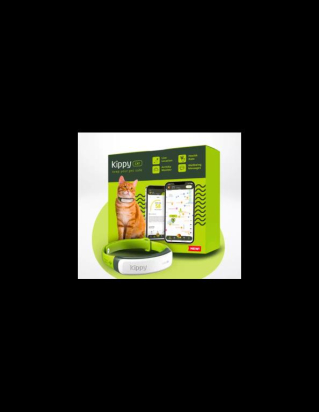 GPS CHAT KIPPY