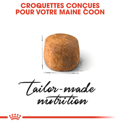 ROYAL CANIN MAINE COON ADULT CHAT A PARTIR DE 15 MOIS 10KG