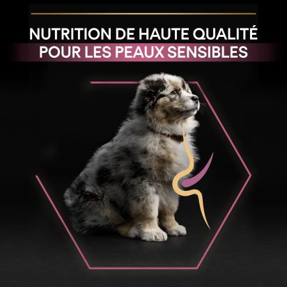 PRO PLAN Chien Medium Puppy Sensitive Skin Saumon 12KG