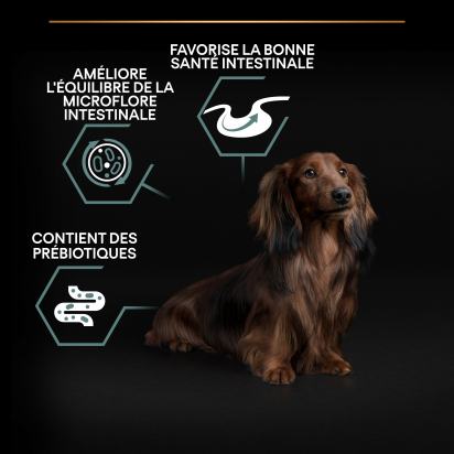 PRO PLAN Chien Small&Mini Adult Sensitive Digestion Agneau 3KG