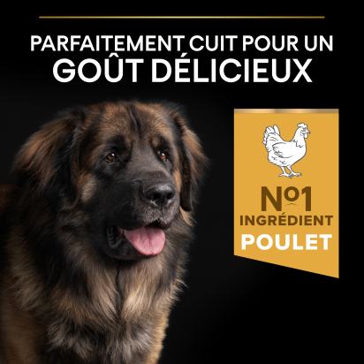 PRO PLAN Chien Large Adult Robust Everyday Nutrition Poulet 14KG