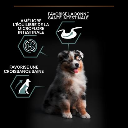 PRO PLAN Chien Medium Puppy Sensitive Digestion Agneau 3KG