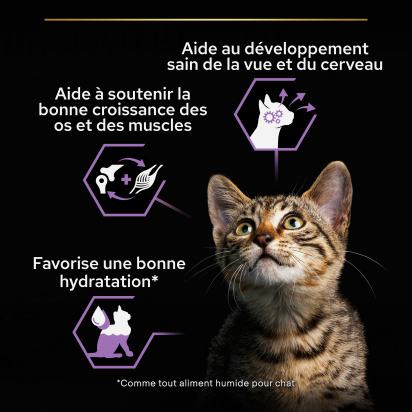 PRO PLAN Kitten HEALTHY START Dinde Sauce Pochons 10x85g