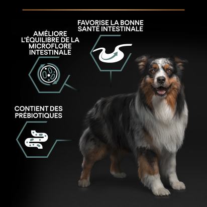 PRO PLAN Chien Medium Adult Sensitive Digestion Agneau 14KG