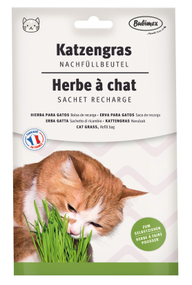 Recharge herbe à chat 100g Bubimex