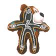 Jouet pour petit chien Kong® Wild Knots Plusieurs couleurs Ours - Extra small