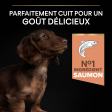 PRO PLAN Chien Small&Mini Puppy Sensitive Skin Saumon 3KG