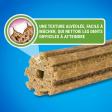 DENTALIFE Maxi Maxi Pack 12 Friandises