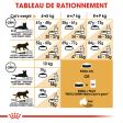 ROYAL CANIN MAINE COON ADULT CHAT A PARTIR DE 15 MOIS 10KG