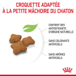 ROYAL CANIN KITTEN STERILISED CHATON STERILISE DE 6 A 12 MOIS 3,5KG