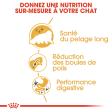 ROYAL CANIN PERSIAN ADULT PERSAN A PARTIR DE 12 MOIS 4KG
