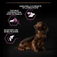 PRO PLAN Chien Small&Mini Adult 9+ Age Defence Poulet 3KG