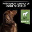PRO PLAN Chien Small&Mini Adult Sensitive Digestion Agneau 3KG
