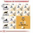 ROYAL CANIN PERSIAN ADULT PERSAN A PARTIR DE 12 MOIS 4KG