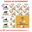 ROYAL CANIN MAINE COON ADULT CHAT A PARTIR DE 15 MOIS 10KG