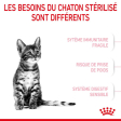 ROYAL CANIN KITTEN STERILISED CHATON STERILISE DE 6 A 12 MOIS 3,5KG