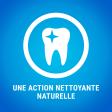DENTALIFE Maxi Maxi Pack 12 Friandises