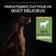 PRO PLAN Chien Large Adult Athletic Sensitive Digestion Agneau 14KG