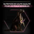 PRO PLAN Chien Large Adult Athletic Sensitive Skin Saumon 14KG