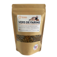 VERS DE FARINE POUR Rongeurs, Reptiles, Hérissons 100G
