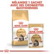 ROYAL CANIN MAINE COON ADULT CHAT A PARTIR DE 15 MOIS 10KG